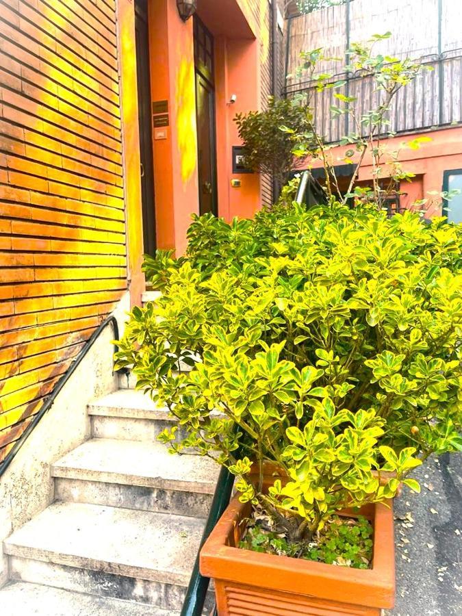 Elegant Rooms Parioli Roma Dış mekan fotoğraf